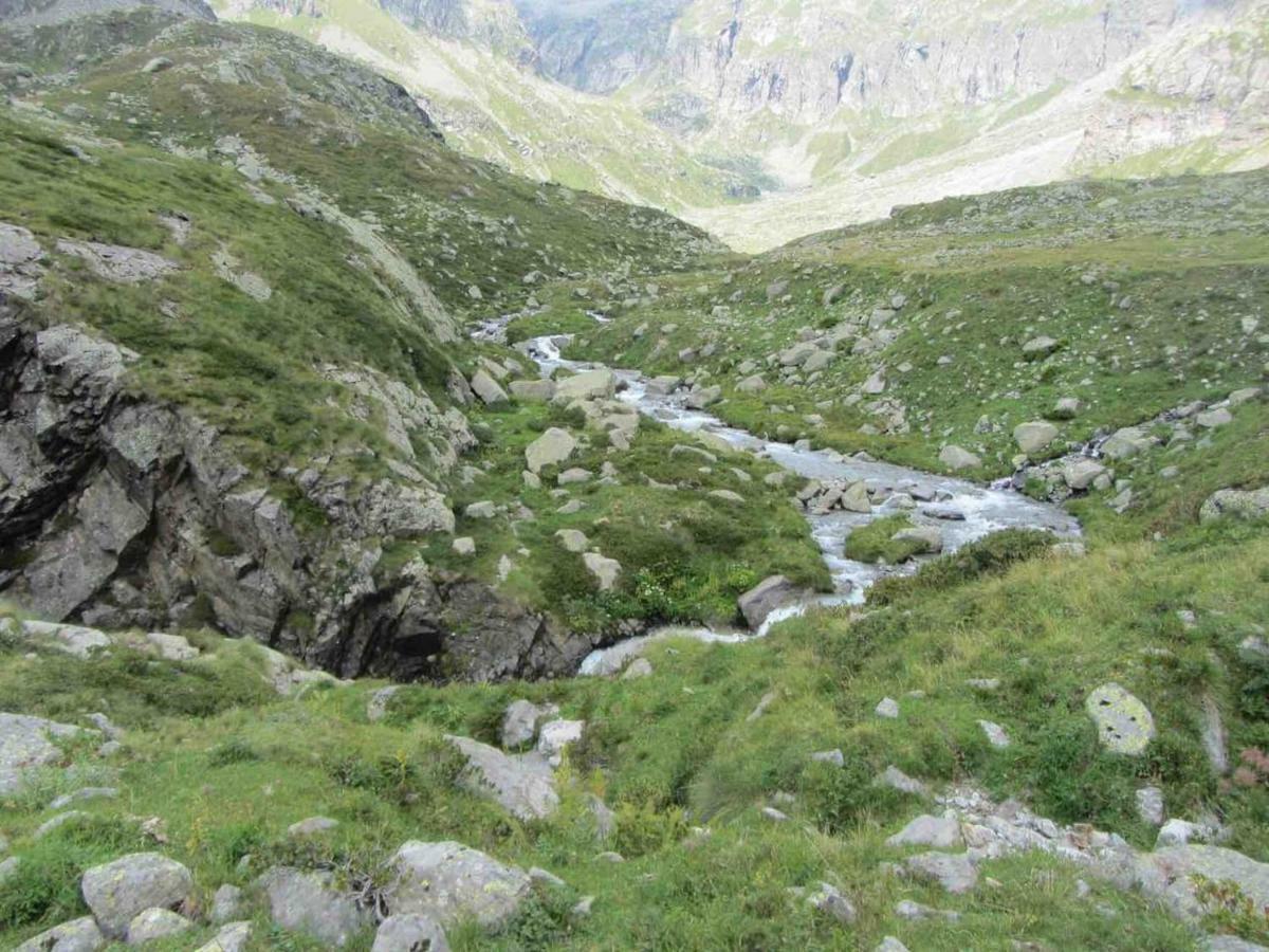 Il Bilocale Della Nonna Villa Locana Eksteriør bilde