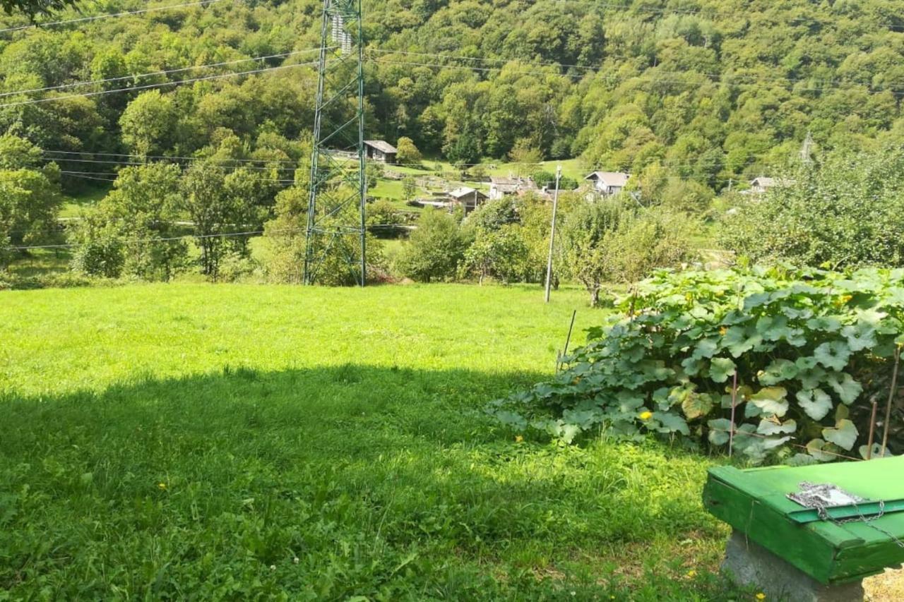 Il Bilocale Della Nonna Villa Locana Eksteriør bilde