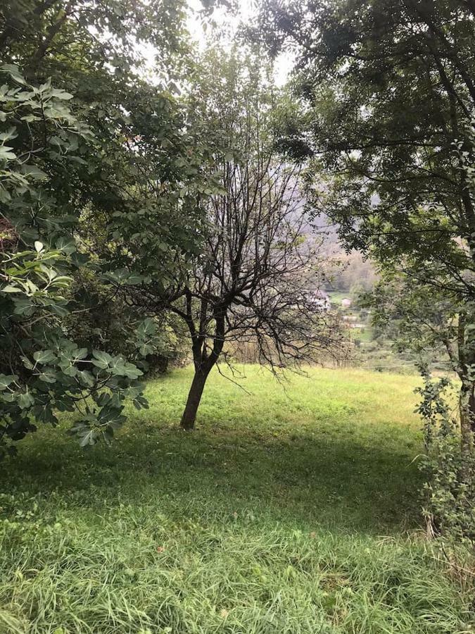 Il Bilocale Della Nonna Villa Locana Eksteriør bilde
